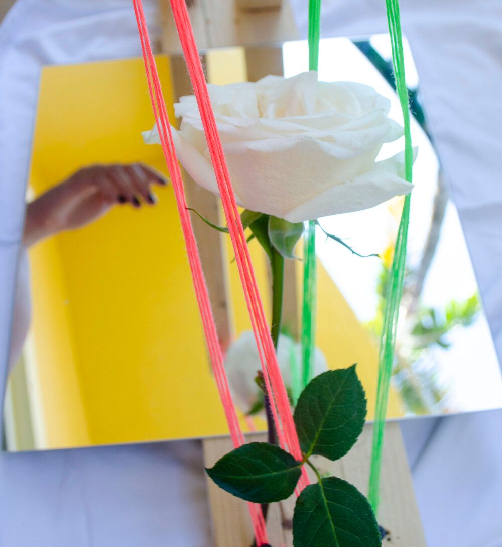 A white rose with green leaves arranged among colorful straws against a bright background.