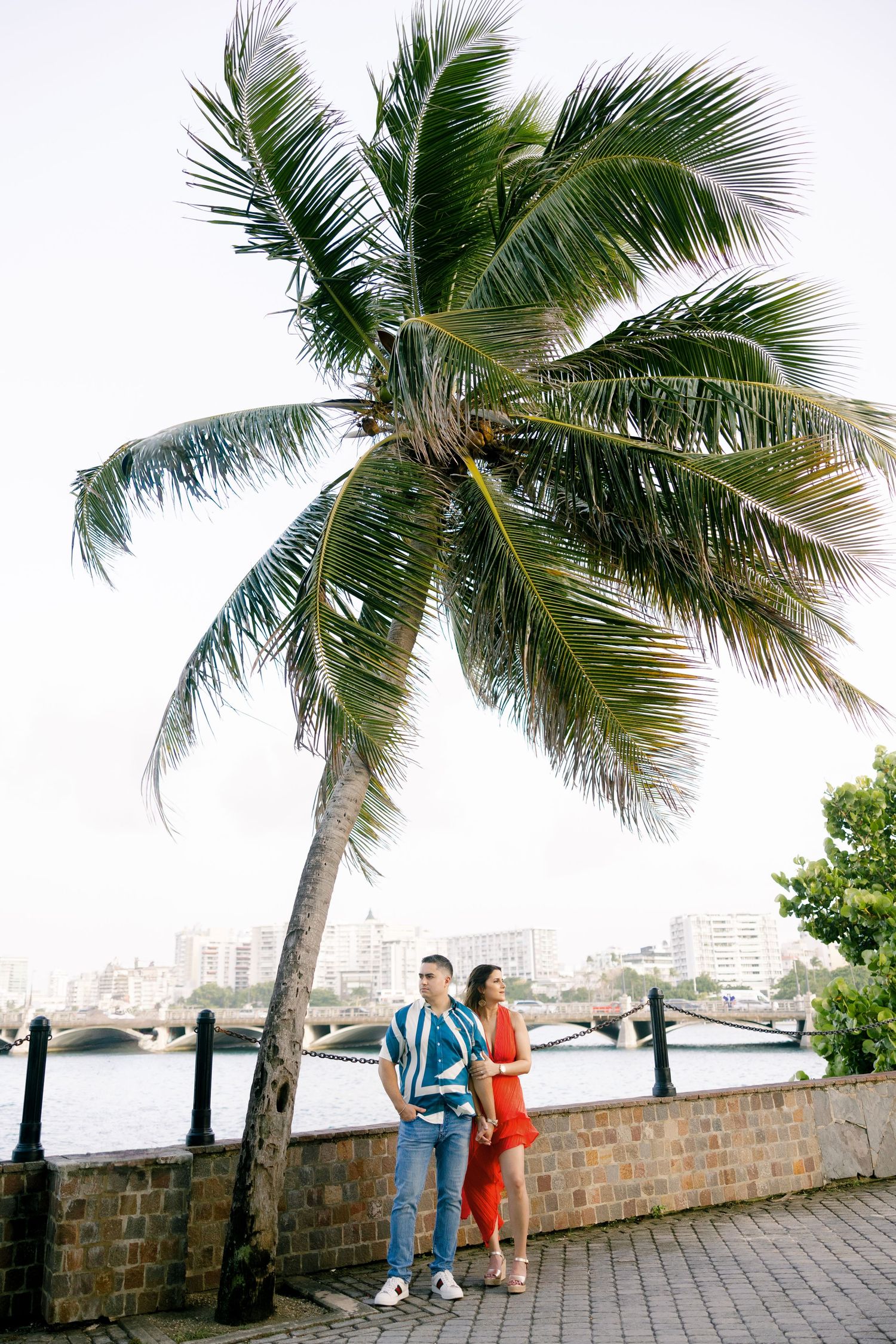 A tall palm tree frames a couple standing by a waterfront walkway in a tropical setting.