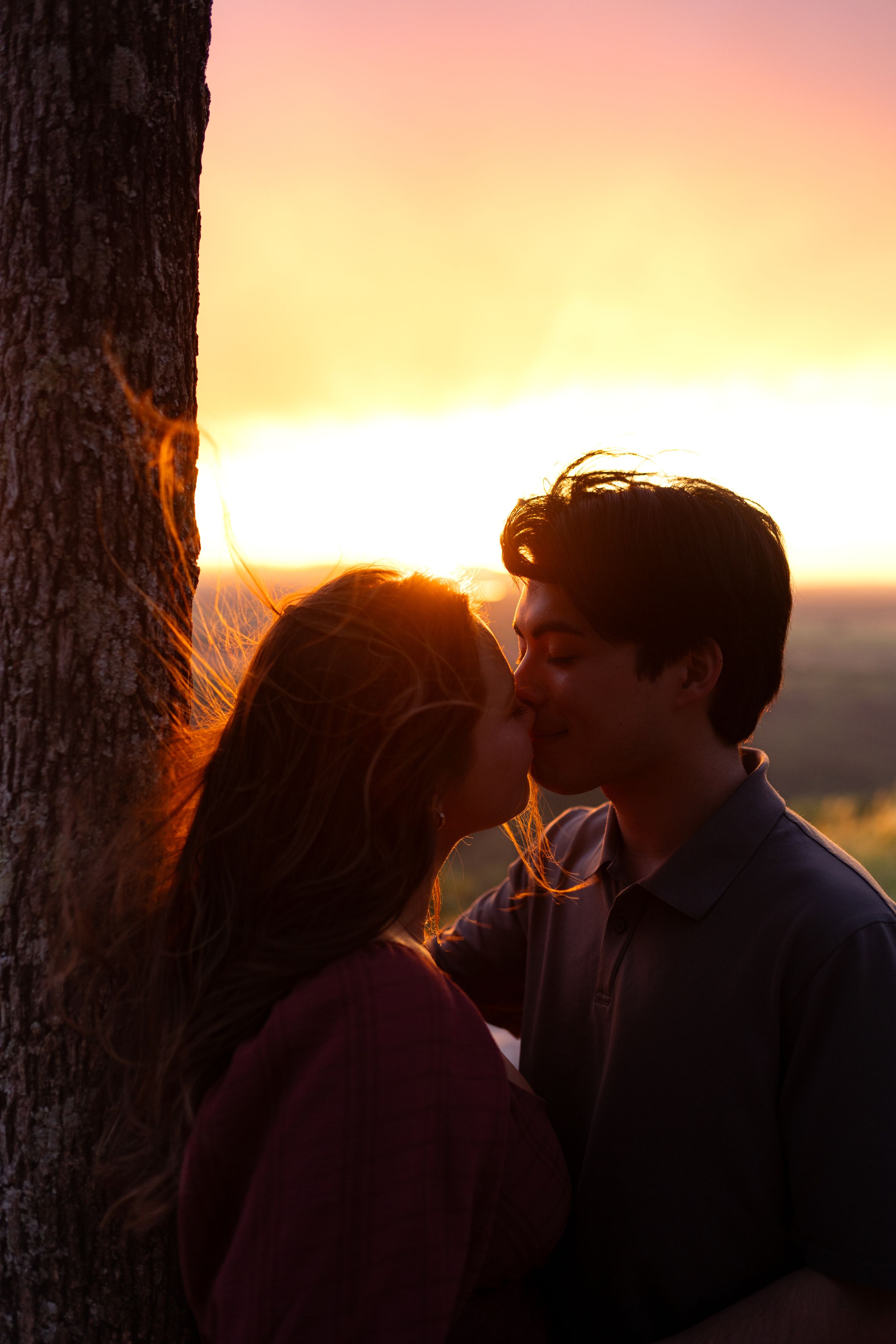Intimate moment shared between two people beneath a tree at sunset.