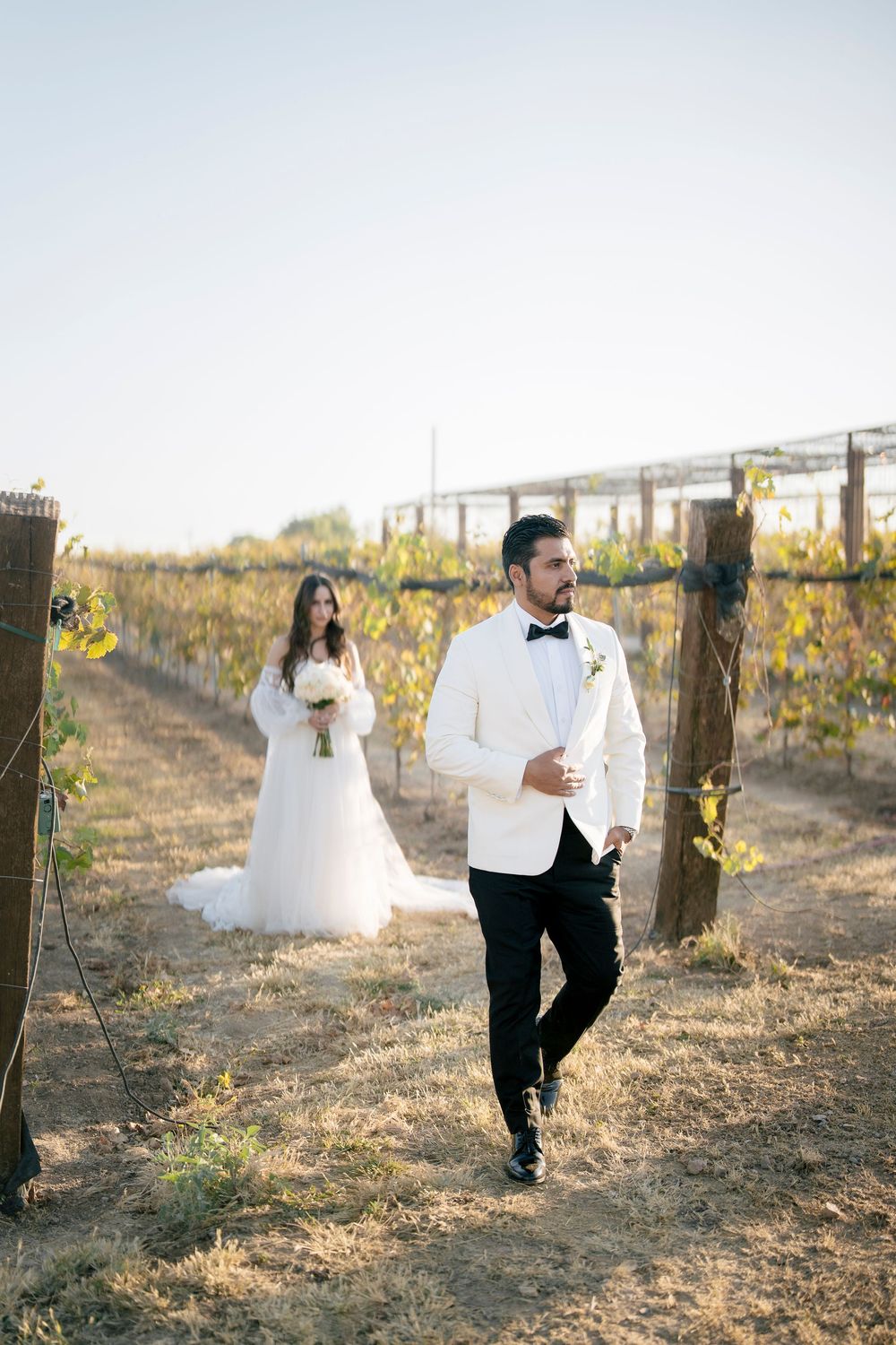 A series of wedding photos showing couples in formal attire walking through a vineyard at sunset.