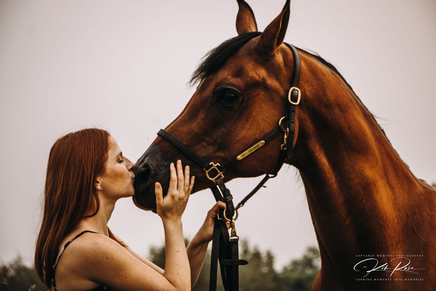 Profile of a horse with fall foliage in Northern British Columbia