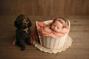 nj newborn photography