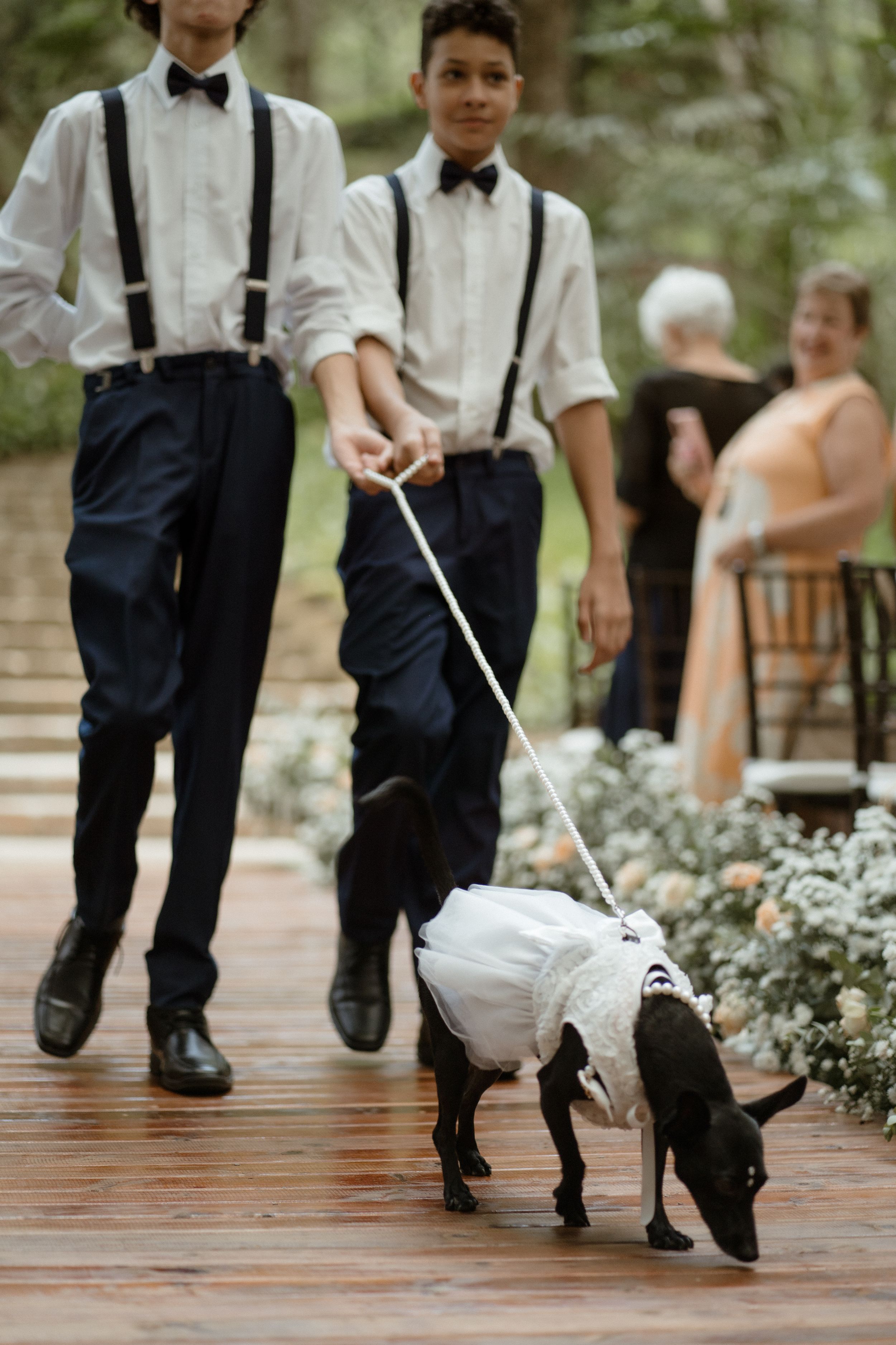 Two attendants in suspenders and bowties walk a small black and white dog down the aisle.
