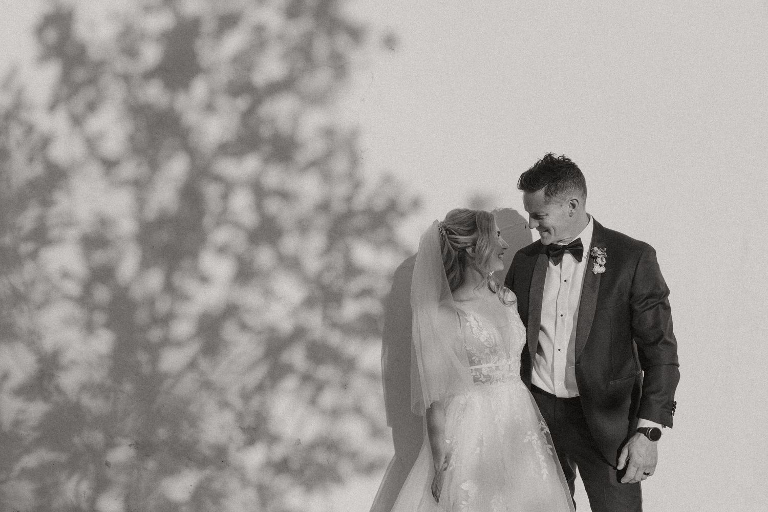 Aishling and Hendrik at Nooitgedacht Estate in Stellenbosch, documentary wedding photos capturing celebrations and beautiful portraits.