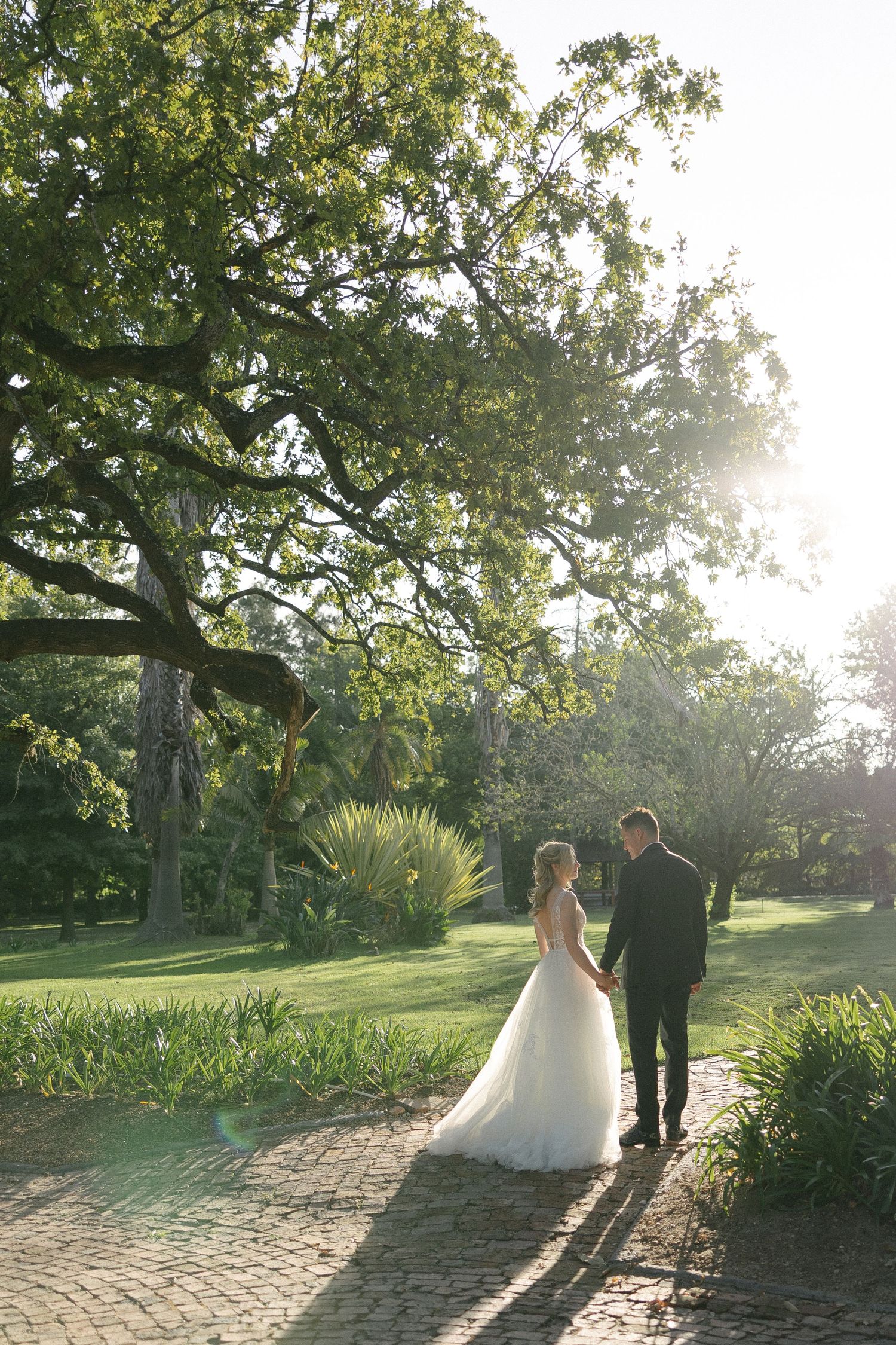 Aishling and Hendrik at Nooitgedacht Estate in Stellenbosch, documentary wedding photos capturing celebrations and beautiful portraits.
