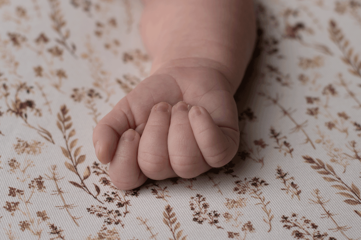 Close-up of newborn's tiny hand, photographed in Ceredigion