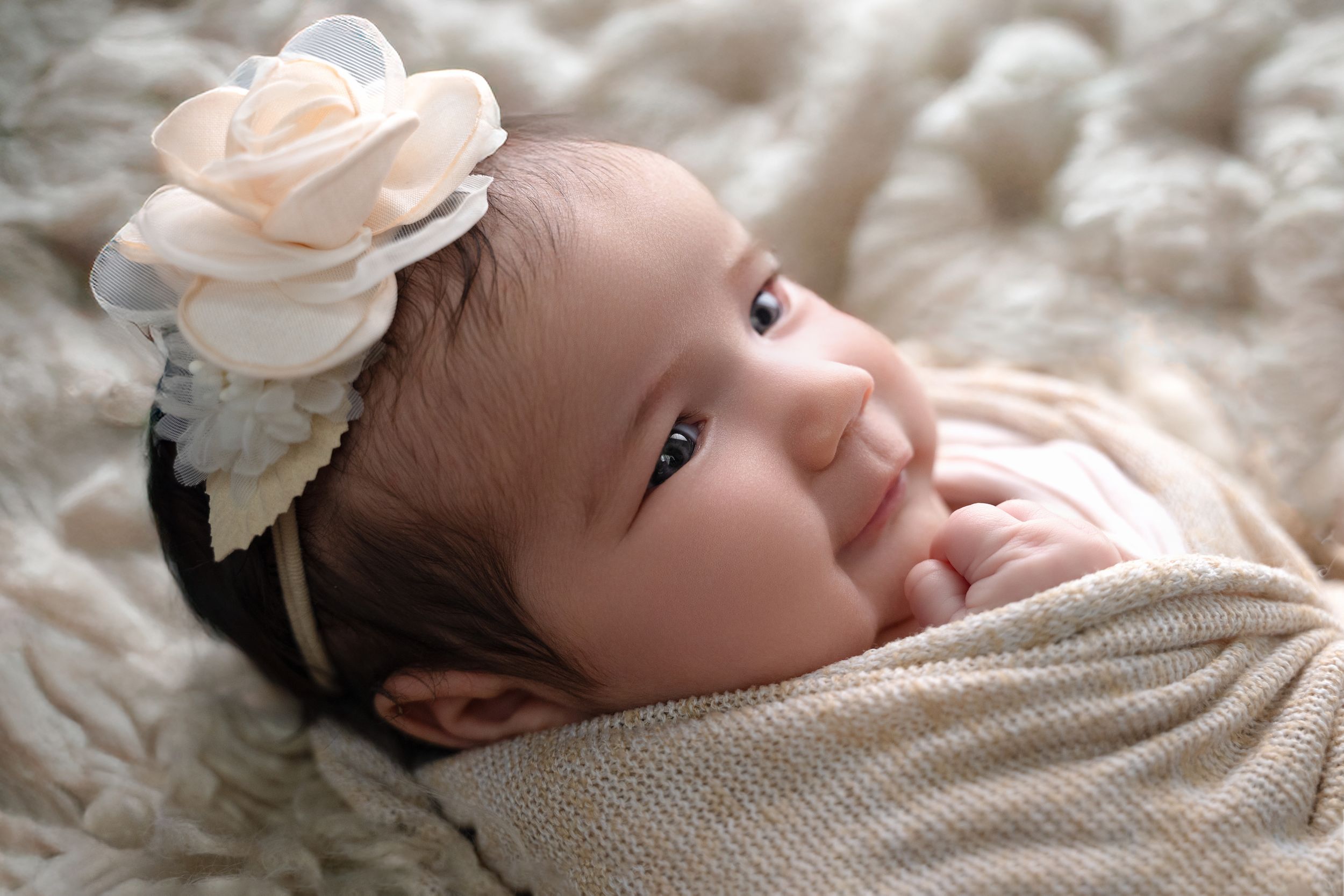 book newborncypress newborn photographer studio session affordable newborn photography Houston Texas