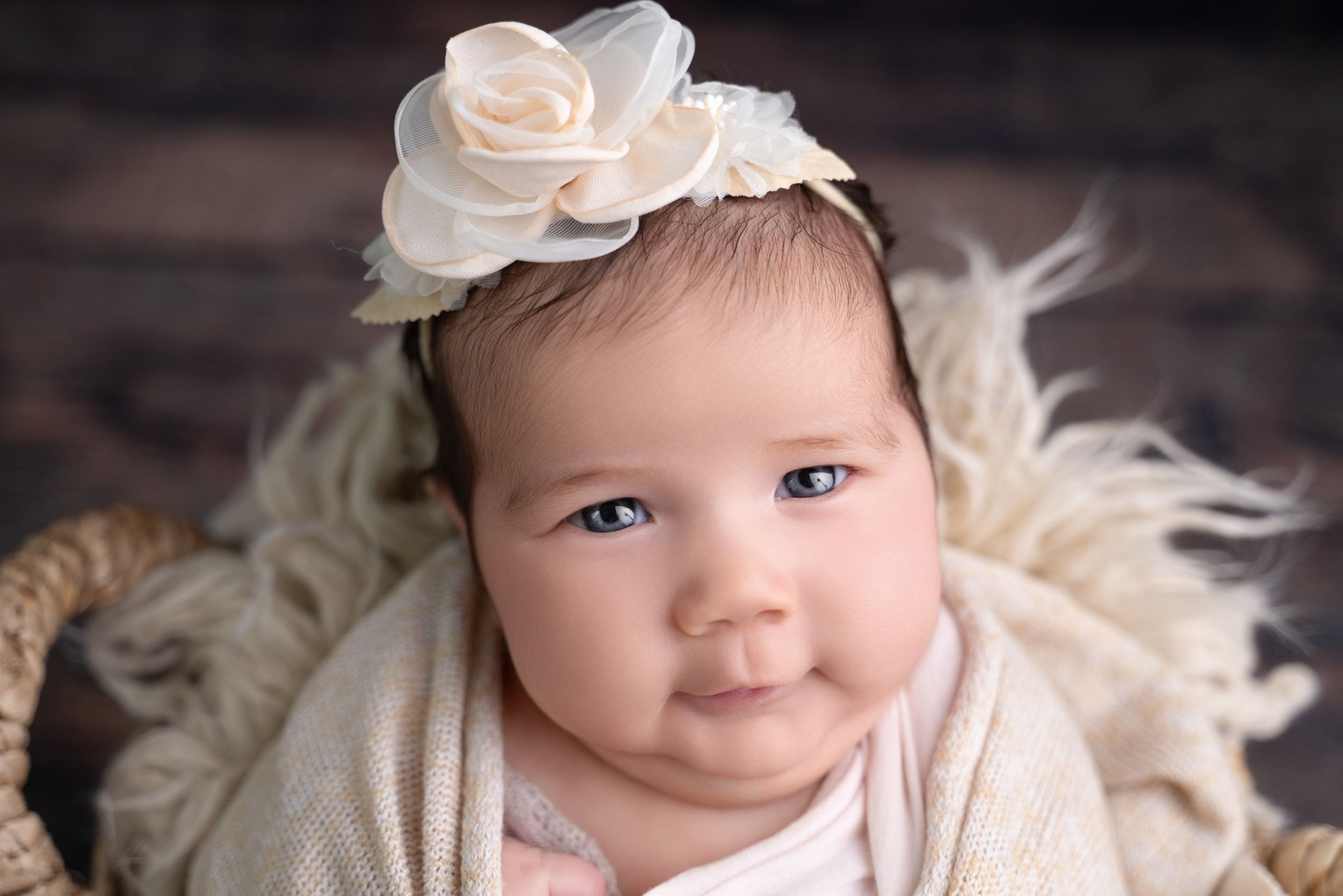newborn baby girl wearing a cream floral headband, wrapped in soft white knit, posed in a wicker basket. newborn photographer cypress tx