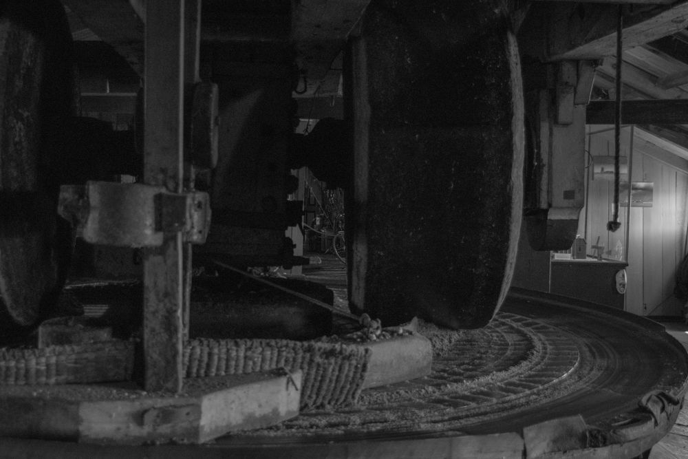 Dark interior view of a vintage mill showing curved machinery and gears.