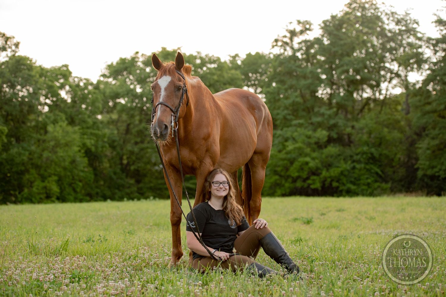 A brown horse poses with a companion sitting in a green meadow during a photography session.