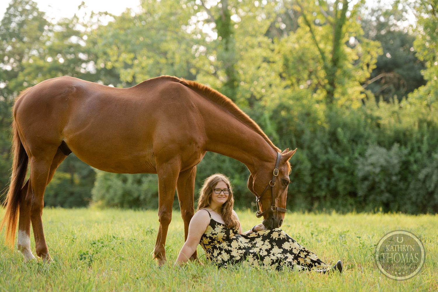 A chestnut horse grazes near someone sitting in a floral dress in a sunny summer field.