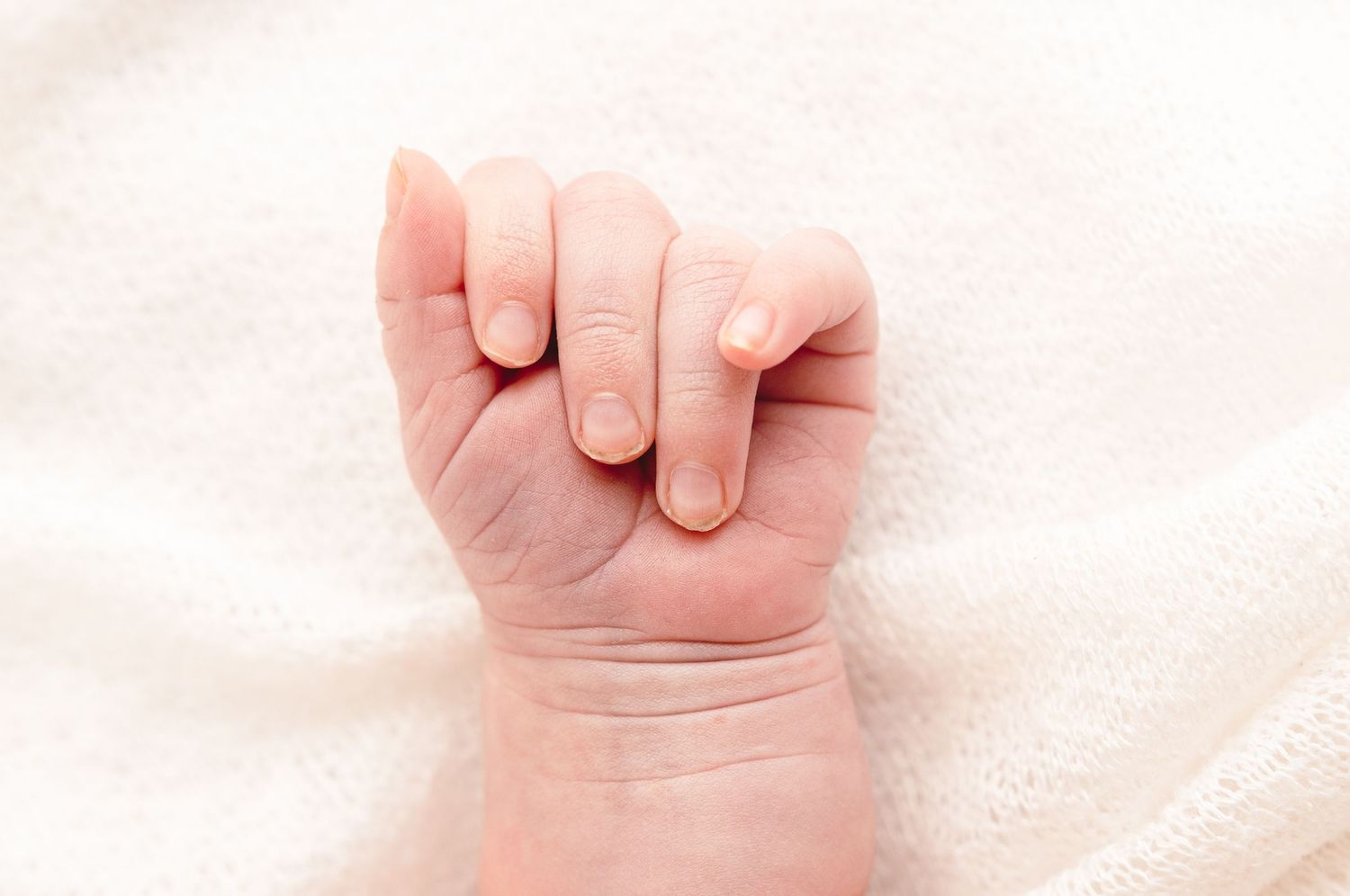 Charlottesville photographer, newborn, family, maternity, studio, detail photography, macro photography