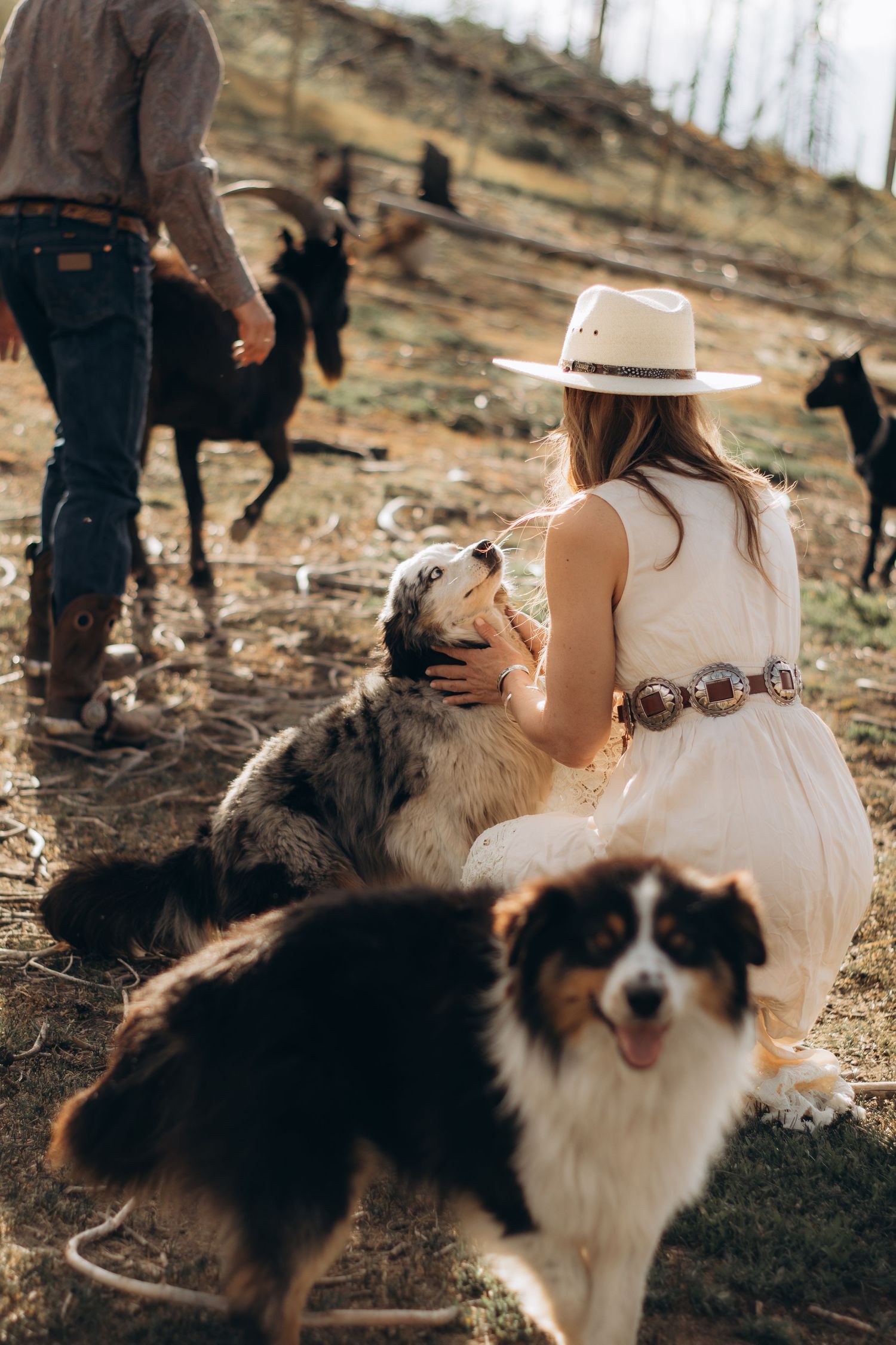 family photographer Jackson hole