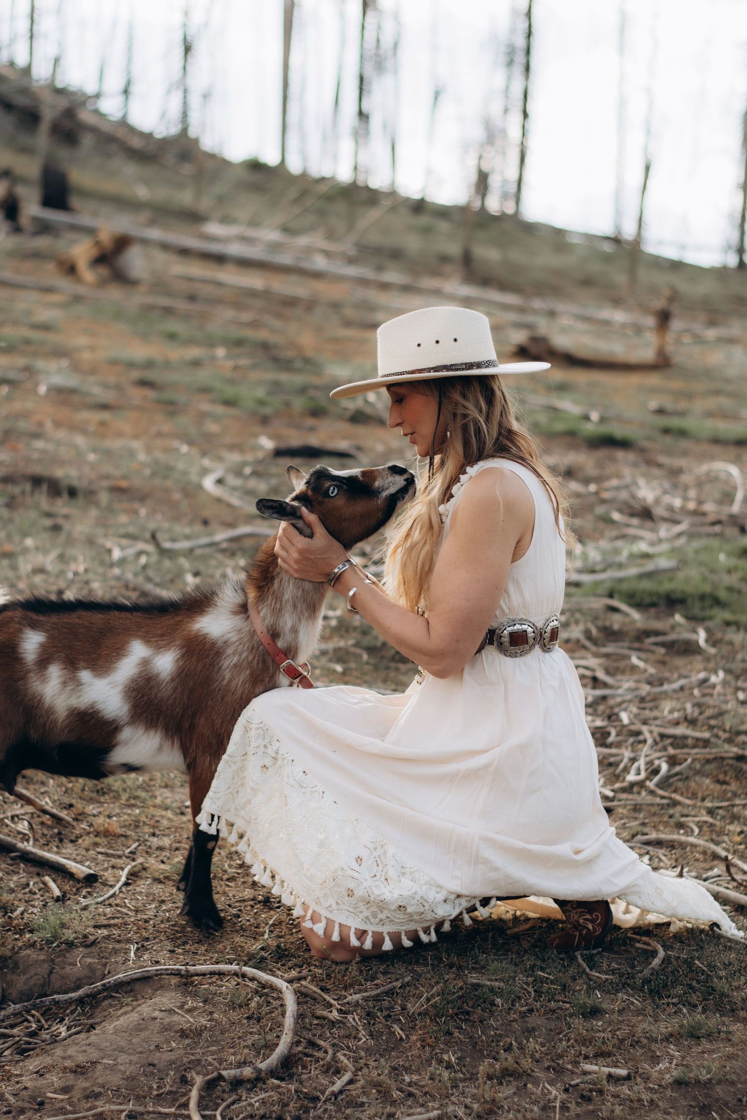 surprise proposal photographer Jackson hole