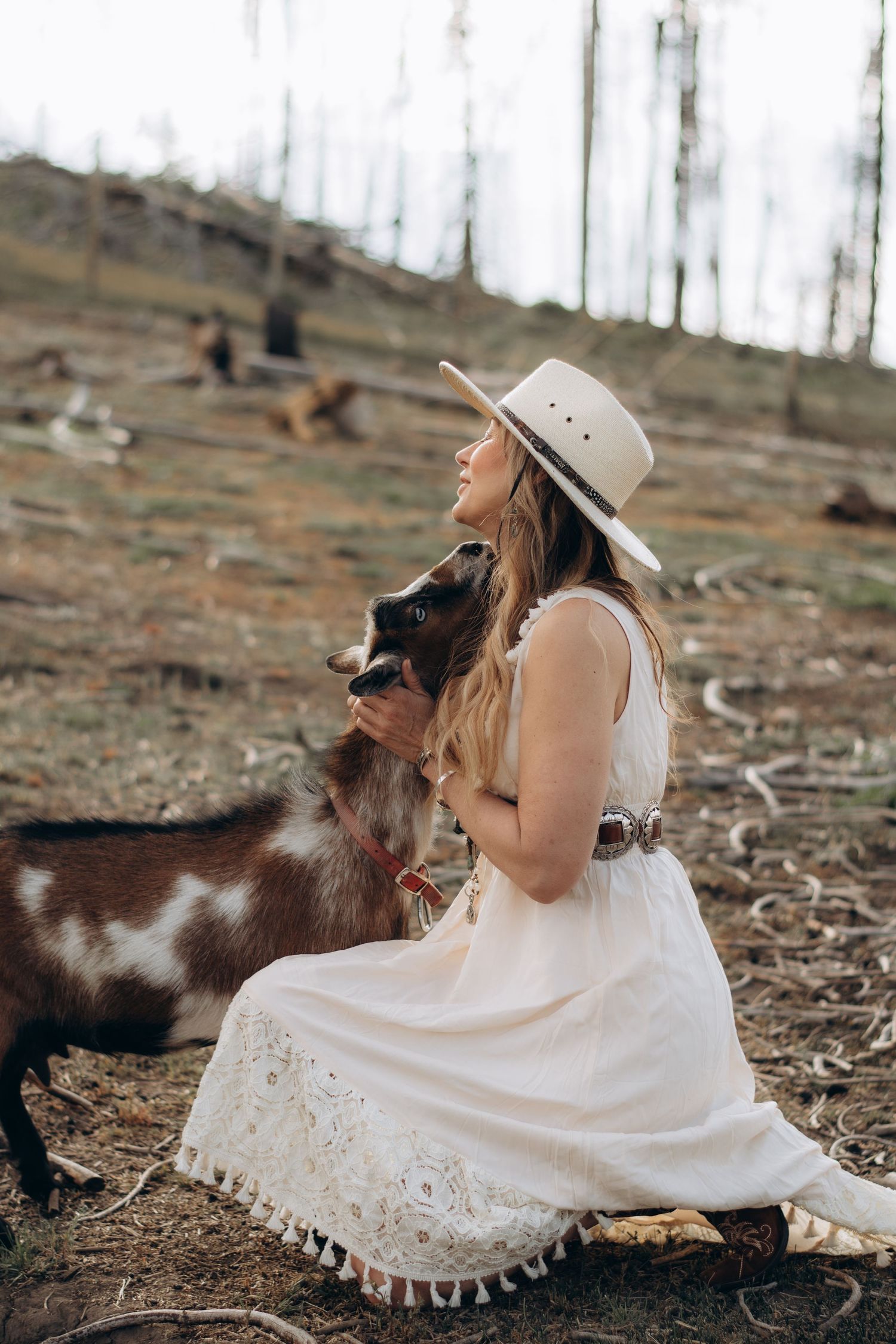 surprise proposal Jackson wy
