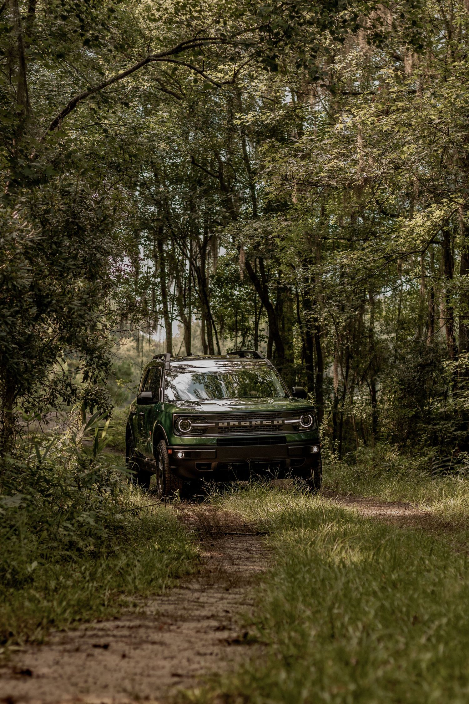 Ford Bronco driving on a dirt trail through dense forest with dramatic lighting.