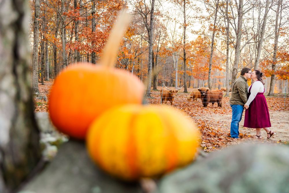 Pumpkins in foreground with couple embracing amidst autumn foliage and trees with orange leaves in background.