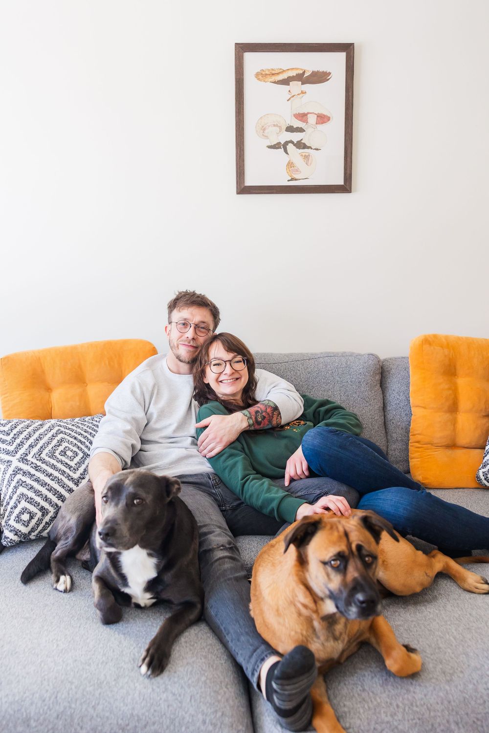 Two dogs lounging on a gray sofa with orange accent pillows under framed wall art in a cozy living room.