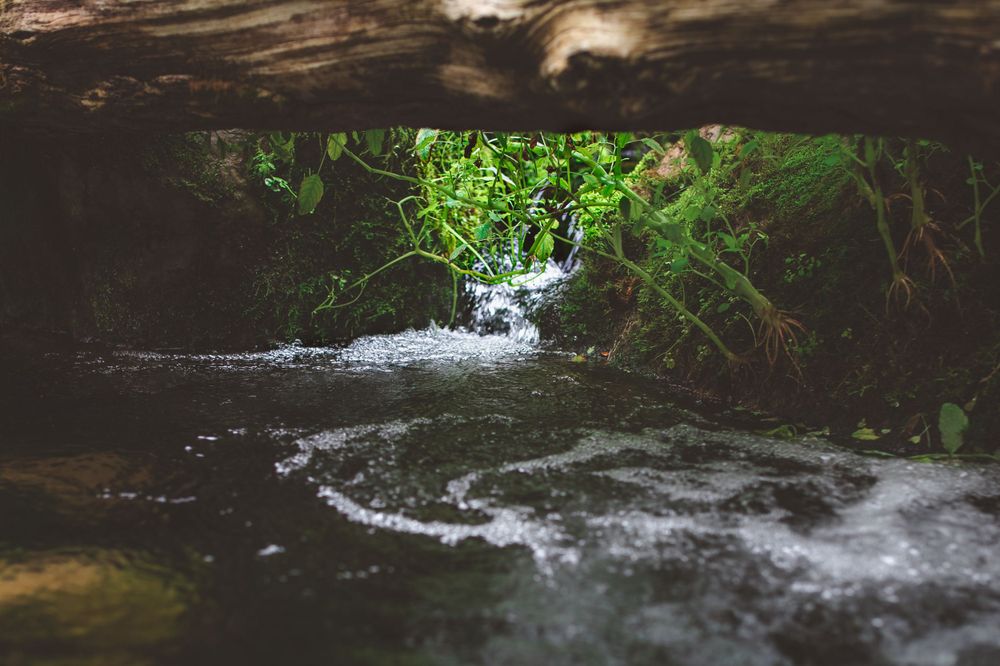 A rushing stream flows under natural rock formations in a green forest setting.