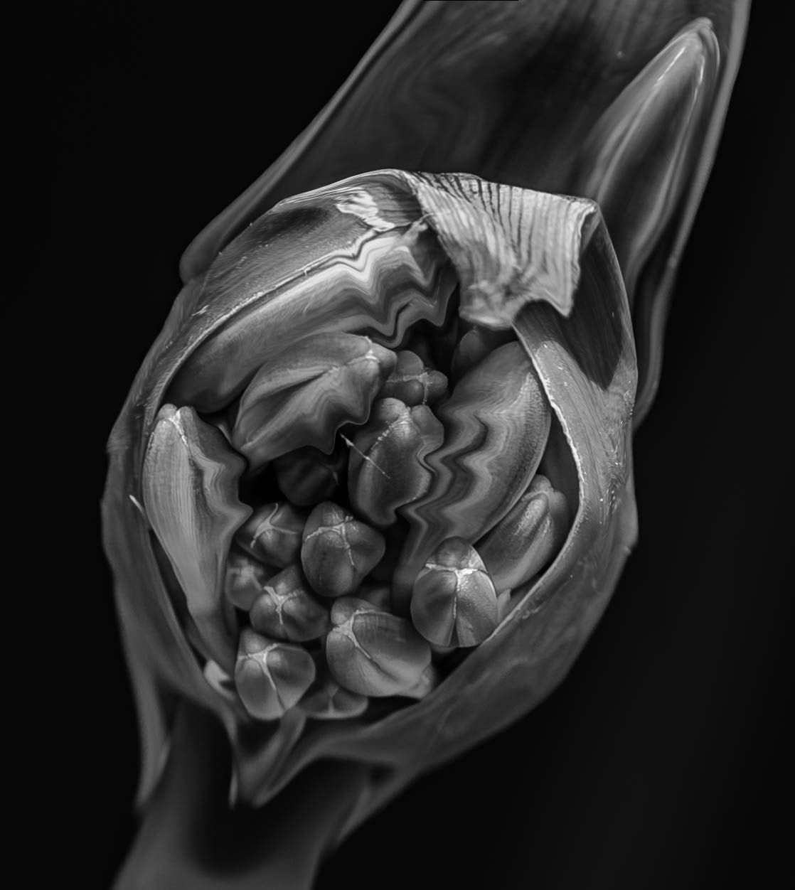 Fine Art