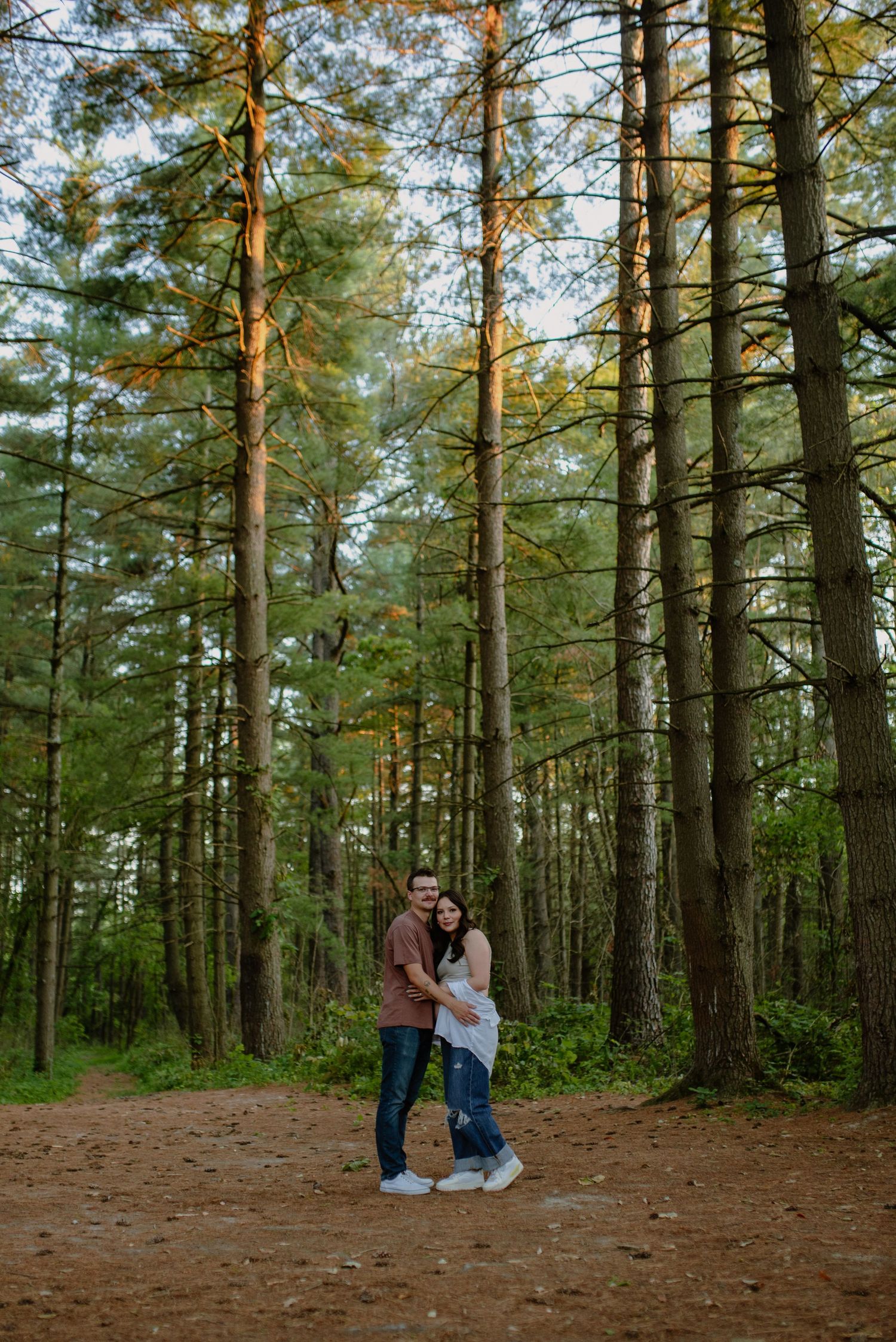 A romantic moment shared in a sunlit pine forest clearing.