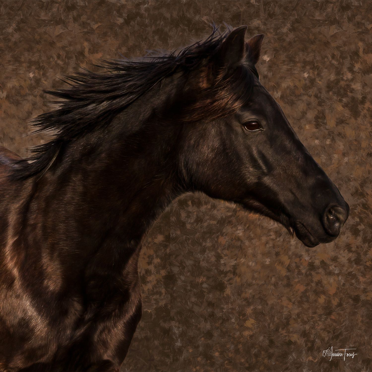 Lucky is a therapy horse at Heritage Farm in Wiley, Texas. He helps people connect with their inner self.