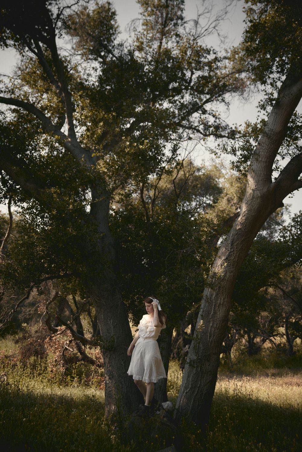A whimsical portrait of a girl in an Edwardian white dress standing between large trees at dusk.