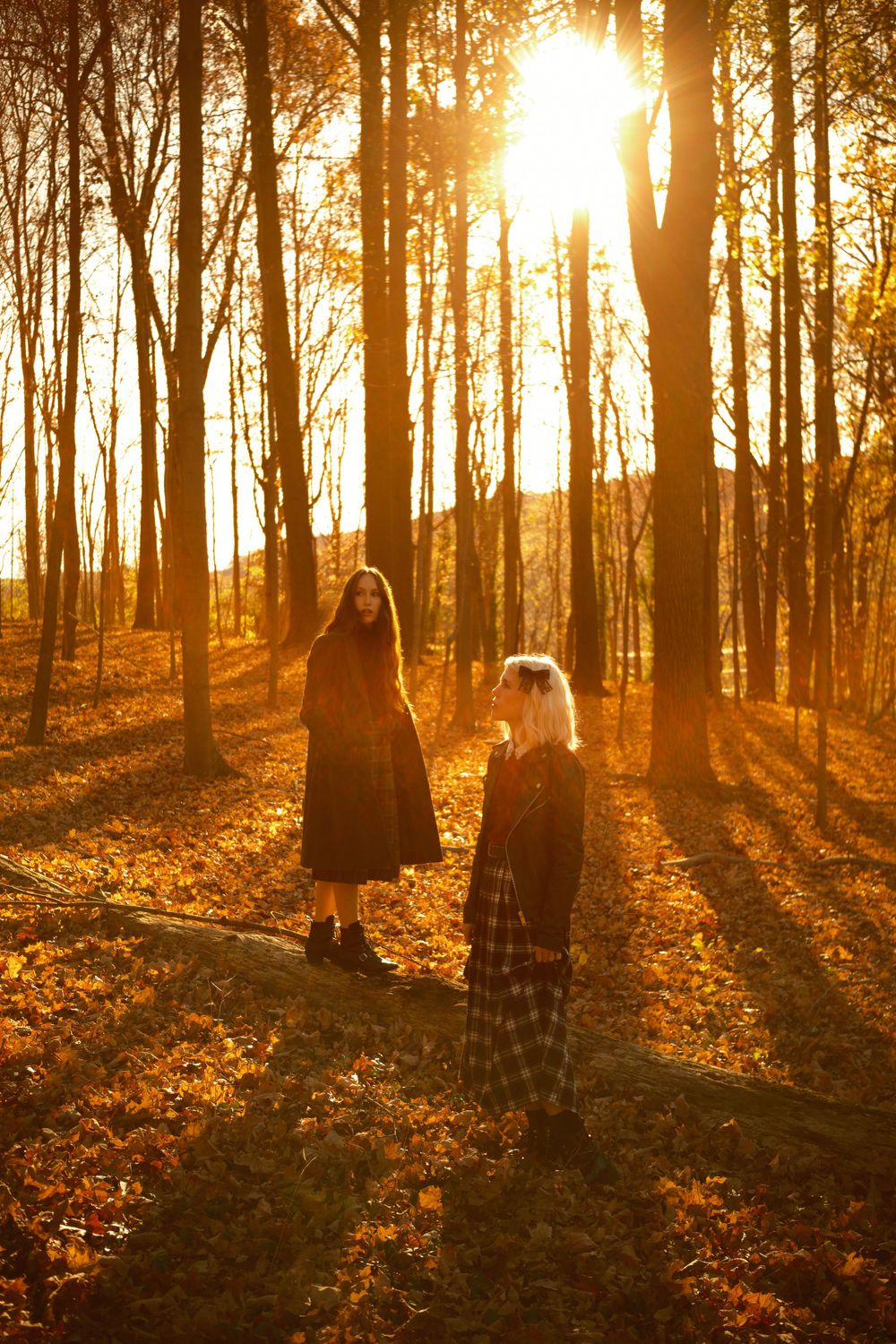 Two people silhouetted in autumn forest with dramatic golden sunlight streaming through trees.