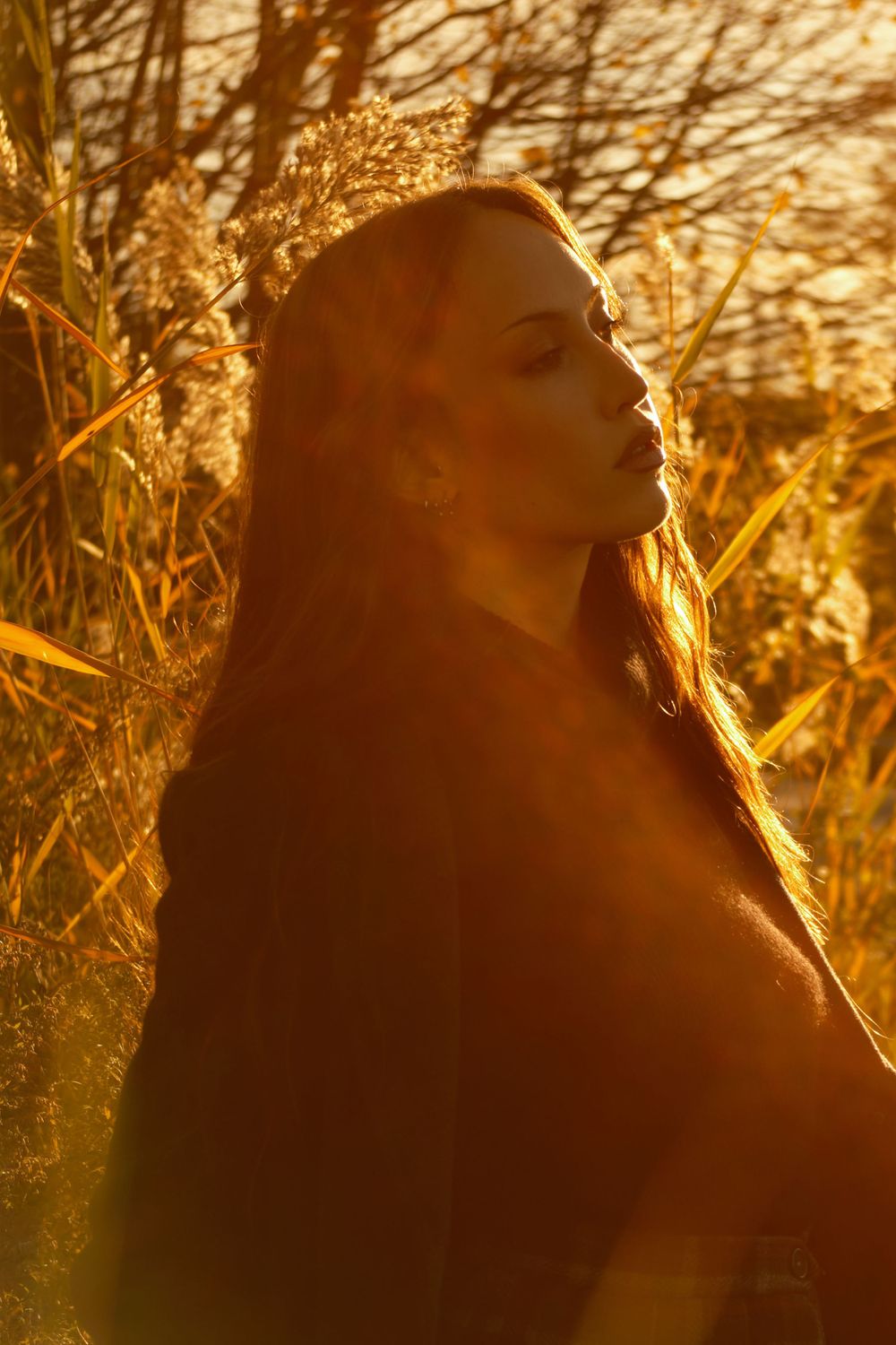 Silhouette in sunlit field with golden light streaming through tall grass.