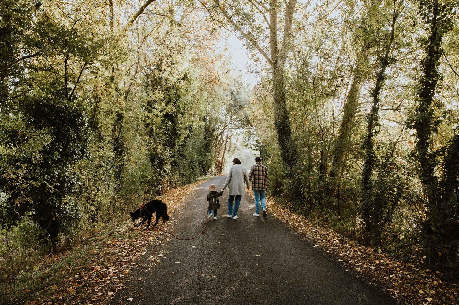 A scenic autumn forest path lined with fallen leaves and tall trees creating a natural tunnel effect.