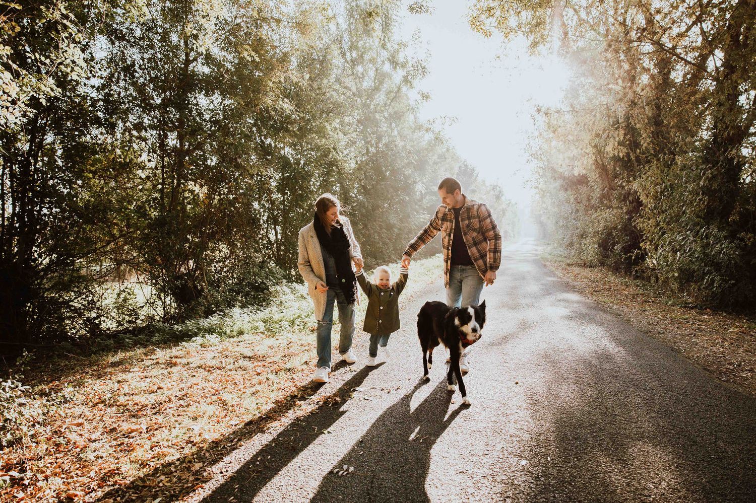 A couple and their dog walk along a misty autumn path during a golden sunset photoshoot session.