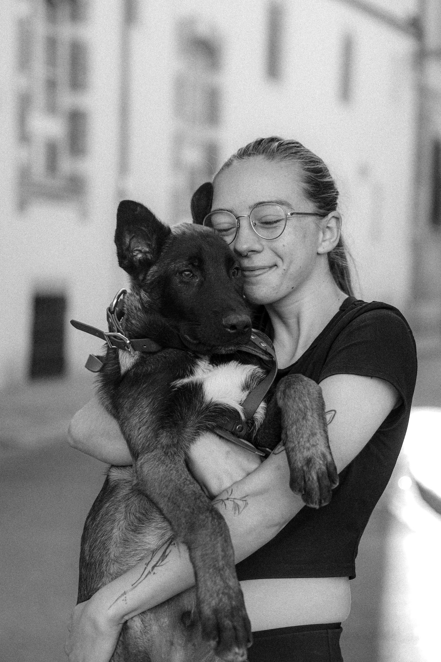 photographe chien toulouse