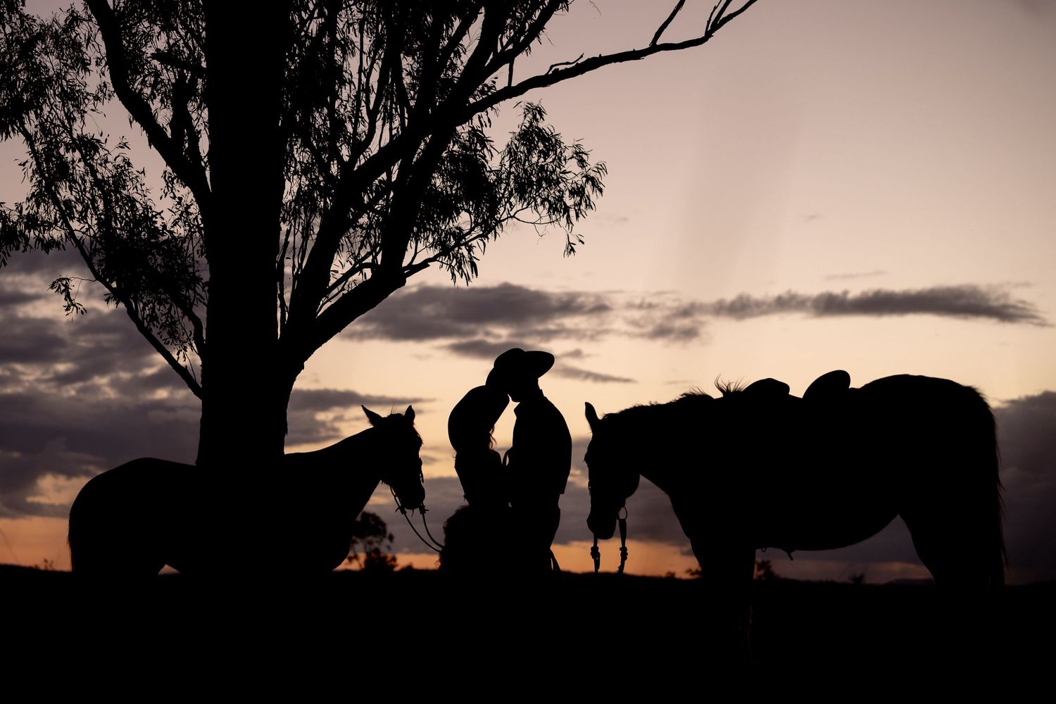 Silhouetted family photos at sunset in a golden field.