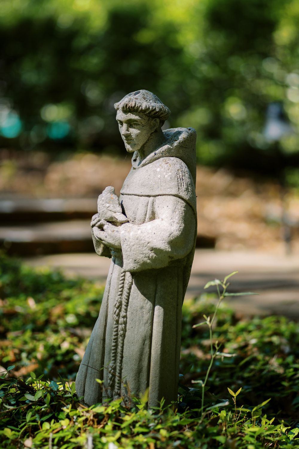 A stone statue of St. Francis stands in a garden surrounded by greenery.