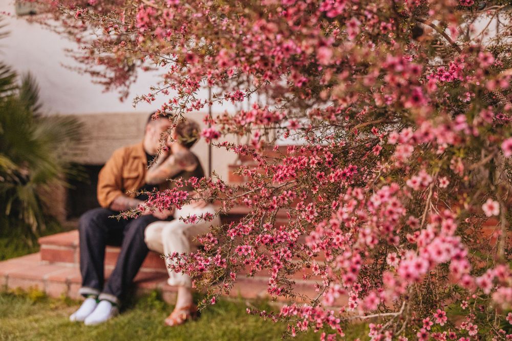 Couple sitting beneath blooming pink cherry blossom tree in spring.