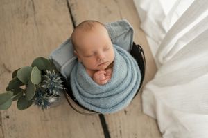 Four tender newborn photo portraits with white blankets, soft lighting, and delicate greenery accents.