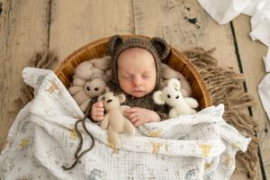 Five related images showcase a rustic wooden basket scene with cozy blankets, stuffed animals, and soft textural elements.