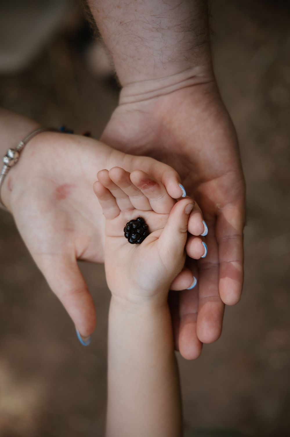 Three generations of hands cradling a fresh blackberry, symbolizing family love and togetherness.