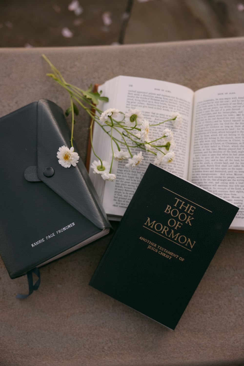 The Book of Mormon and study materials with a delicate white flower on a stone surface.