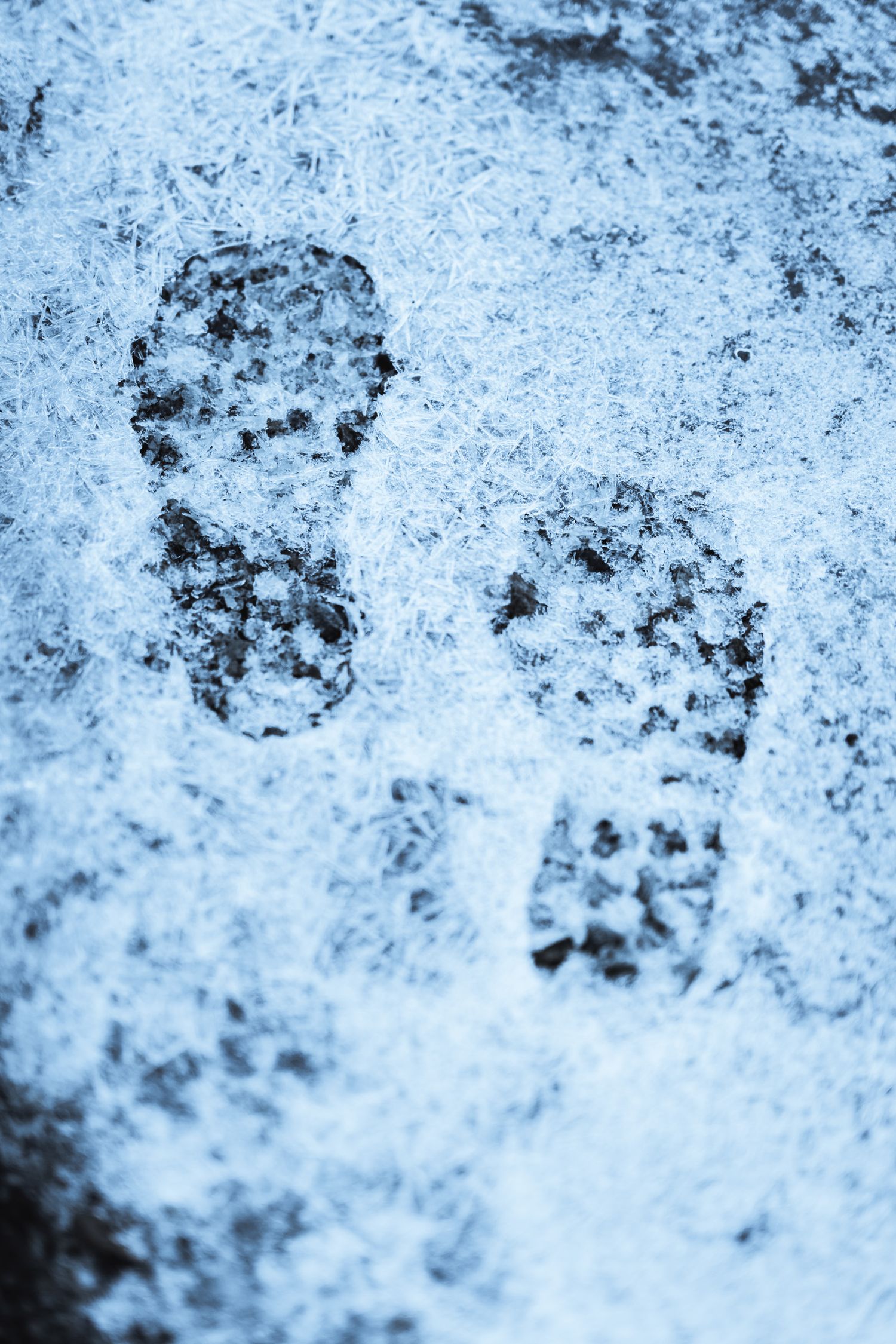 traces de pas d'un randonneur dans la neige