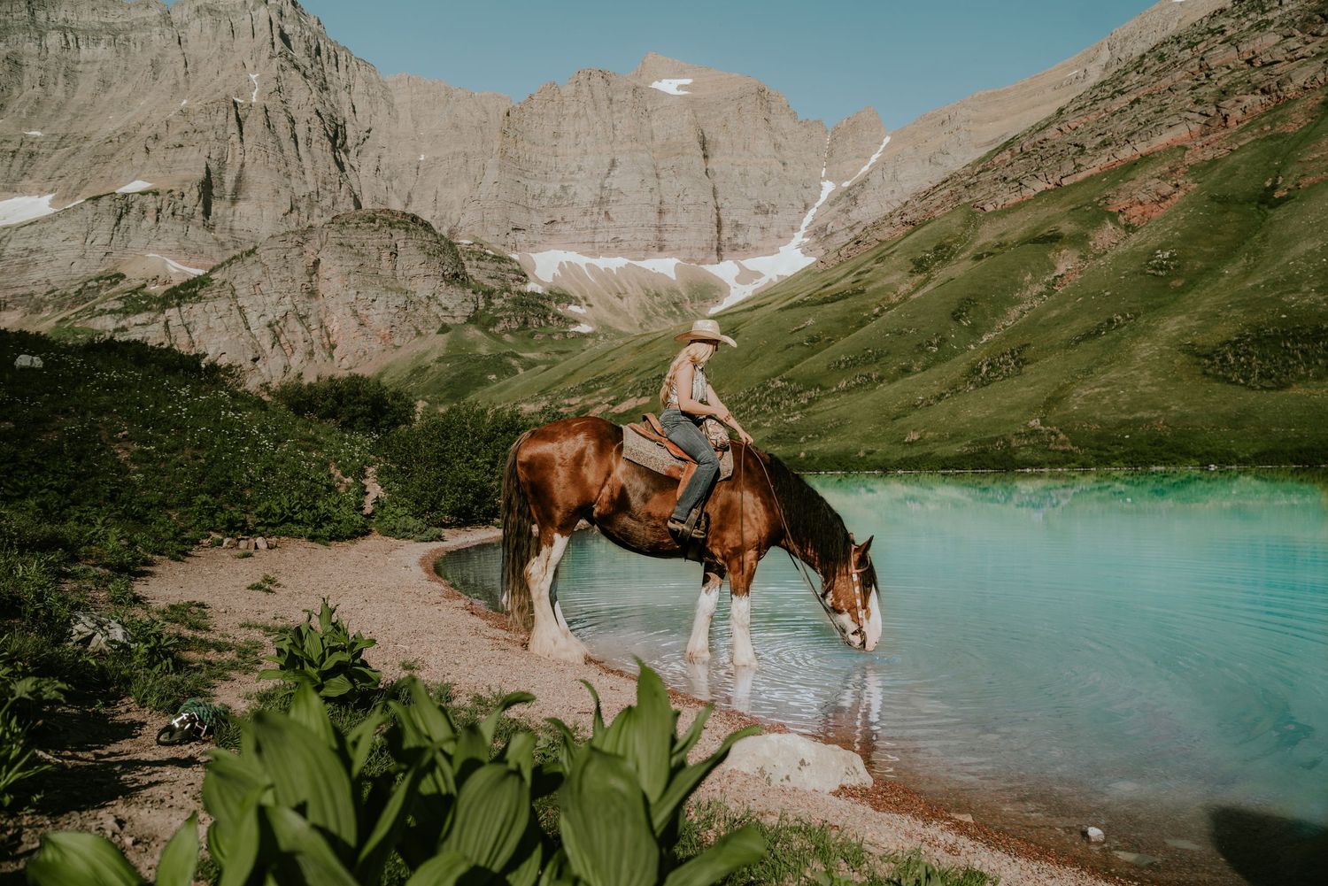 A Clydesdale draft horse stands near a turquoise alpine lake surrounded by rugged mountain peaks in Glacier National Park.