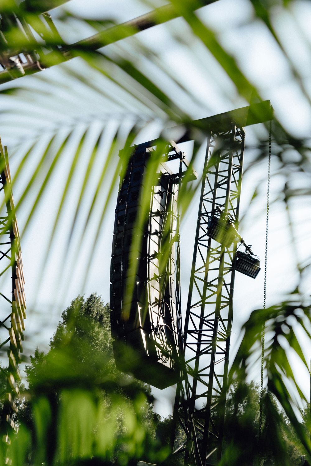 Stage lighting trusses and equipment viewed through tropical palm fronds.
