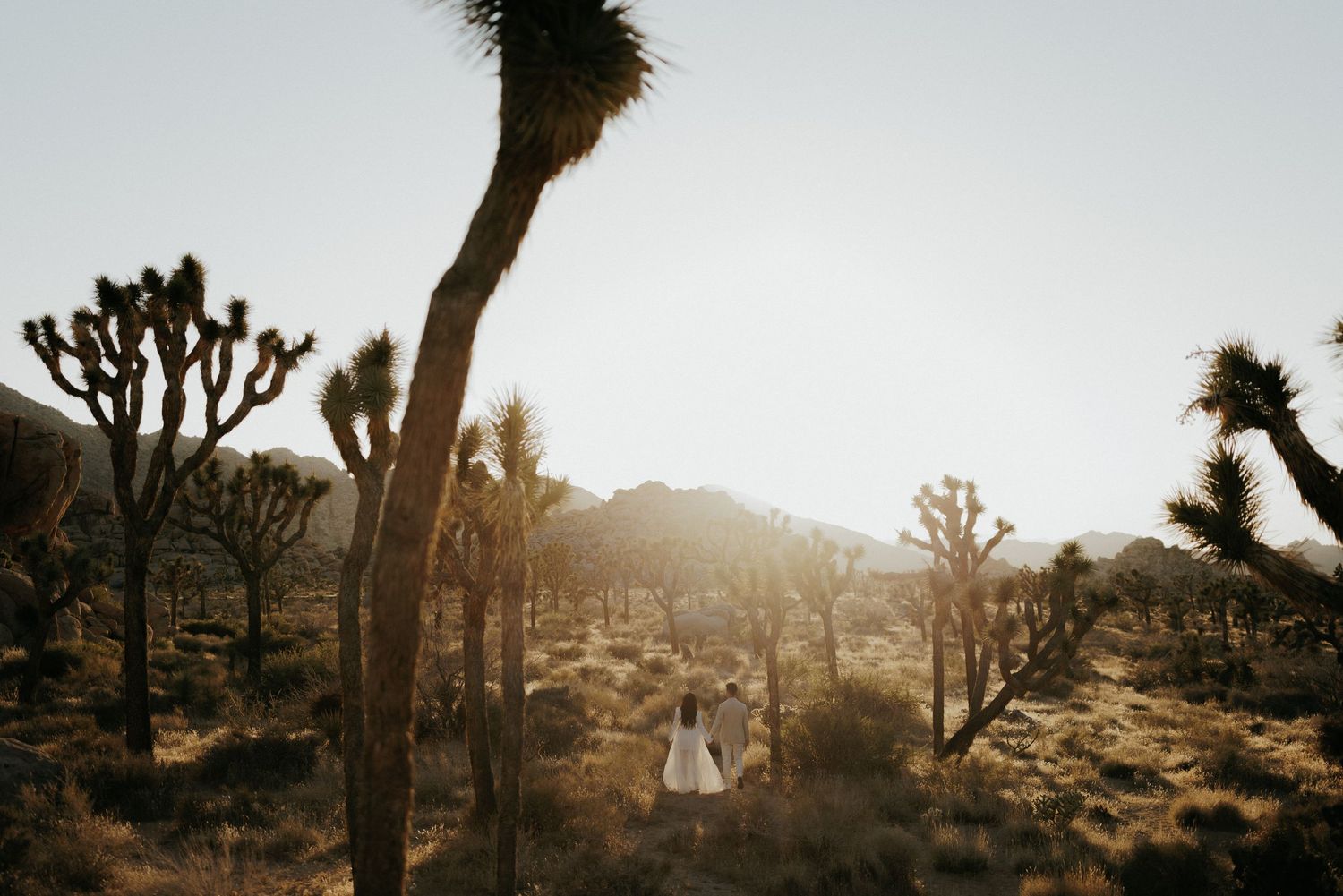 A romantic wedding photo shoot in Joshua Tree National Park at sunset with desert landscape and Joshua trees.