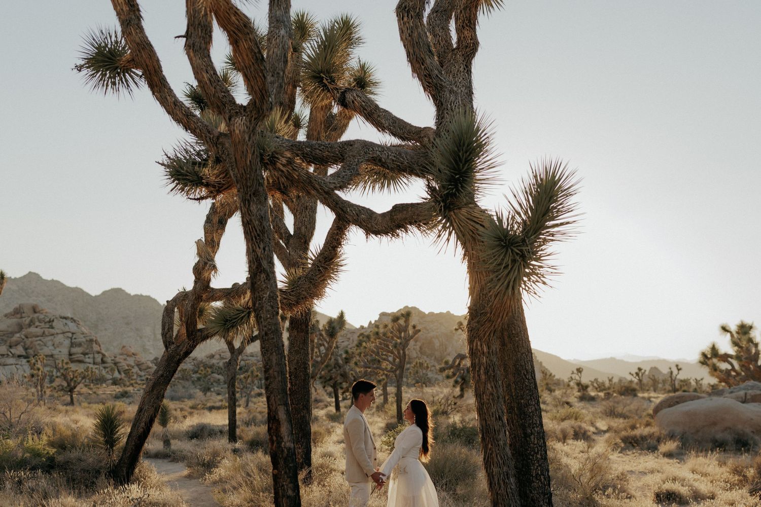 A desert wedding photoshoot with towering Joshua trees framing the couple in white attire.