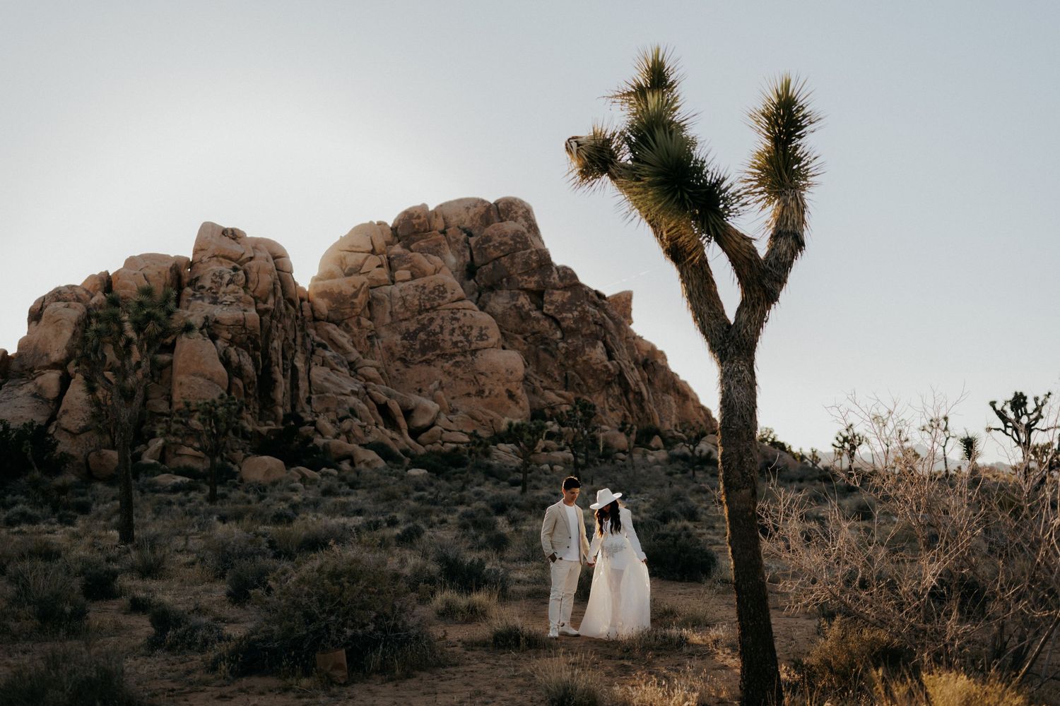 A wedding couple stands against a dramatic backdrop of Joshua Tree National Park at sunset.