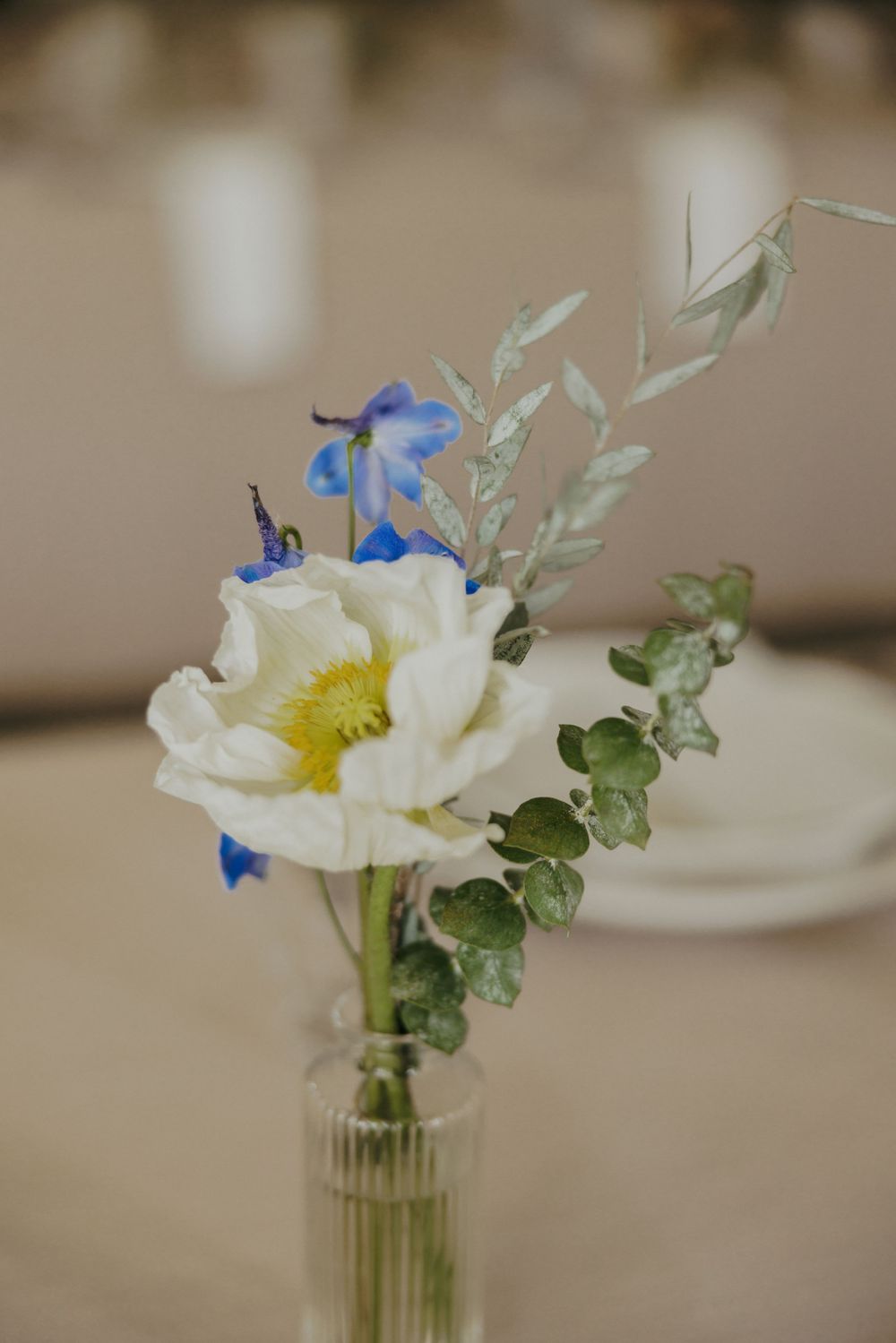 Small glass vase with white poppy and blue delphinium flowers against neutral background.