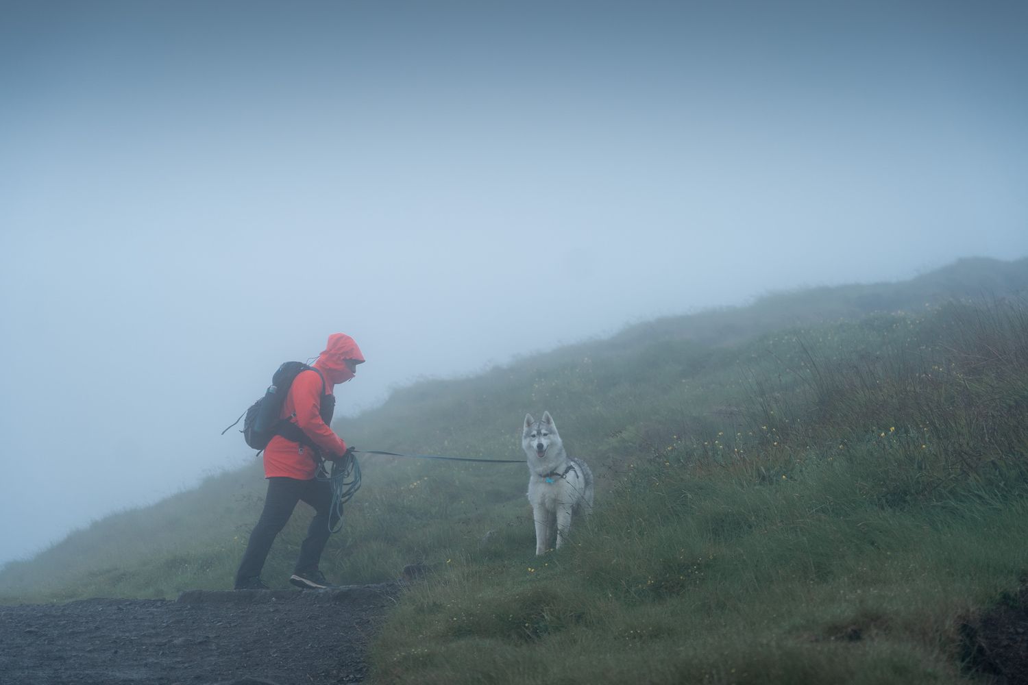 randonnneur avec son chien vers the old mann of storr sur l'île de skye en ecosse