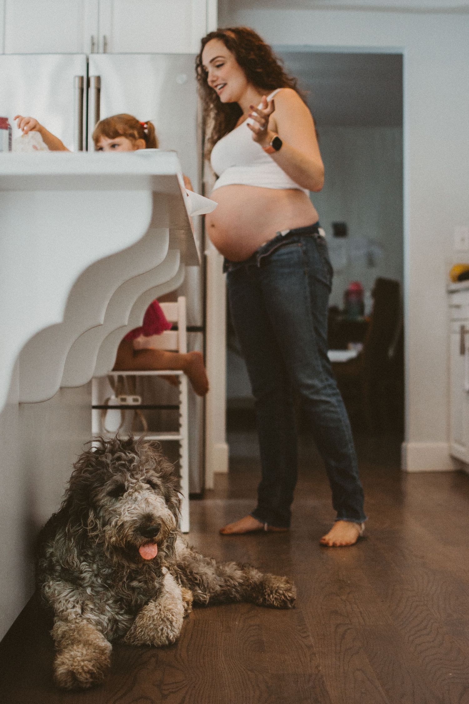 Curly-haired dog rests on hardwood floor while person moves in background.