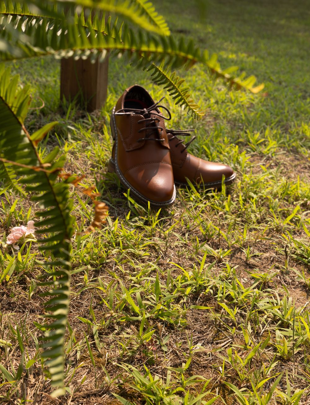 Brown leather boots stand amid lush green ferns and foliage in a garden setting.