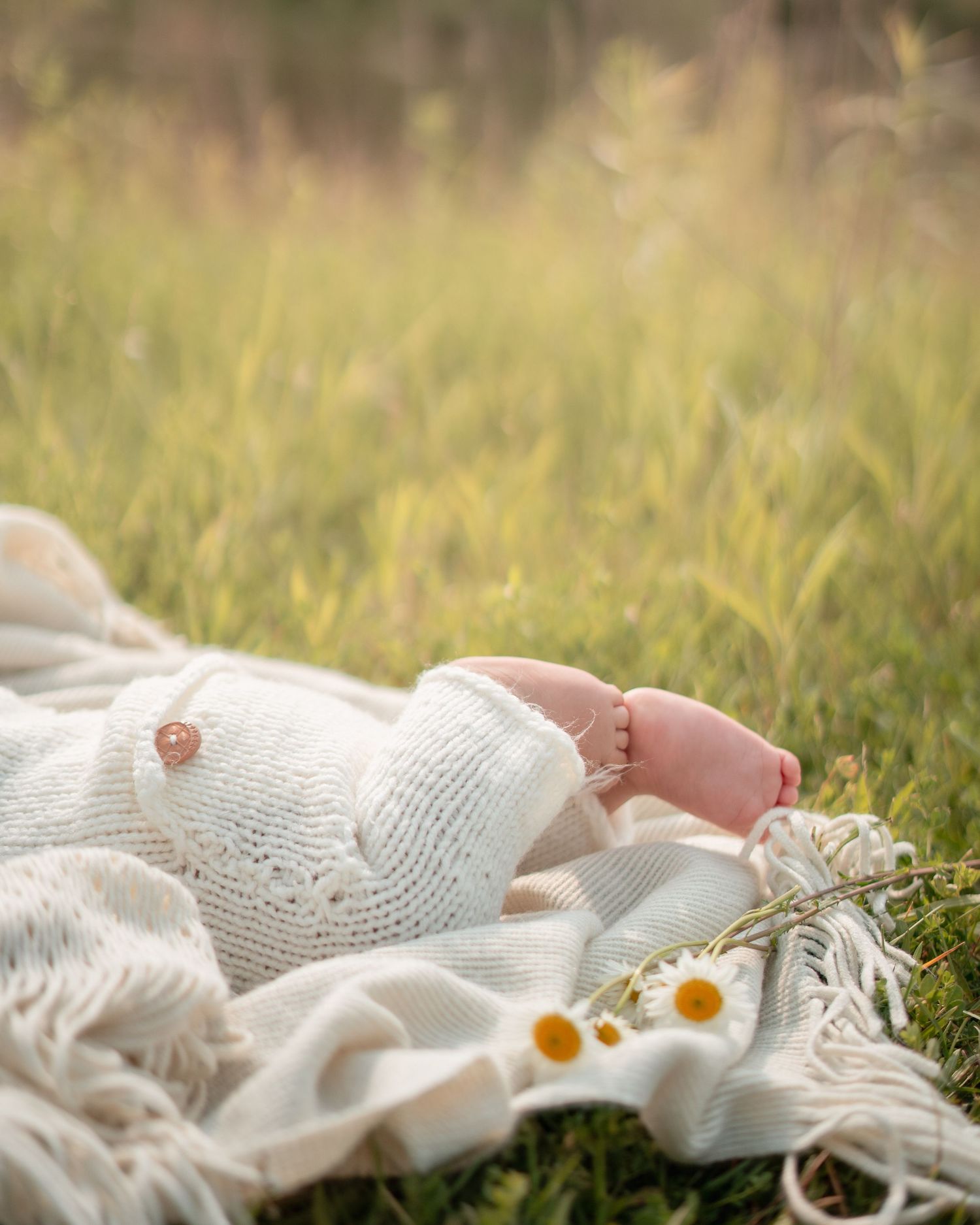 baby in a beautiful dress, enjoying a child photoshoot in a sunny West Michigan field. A perfect moment for Grand Rapids family photography